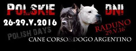 Zlot miłośników Cane Corso