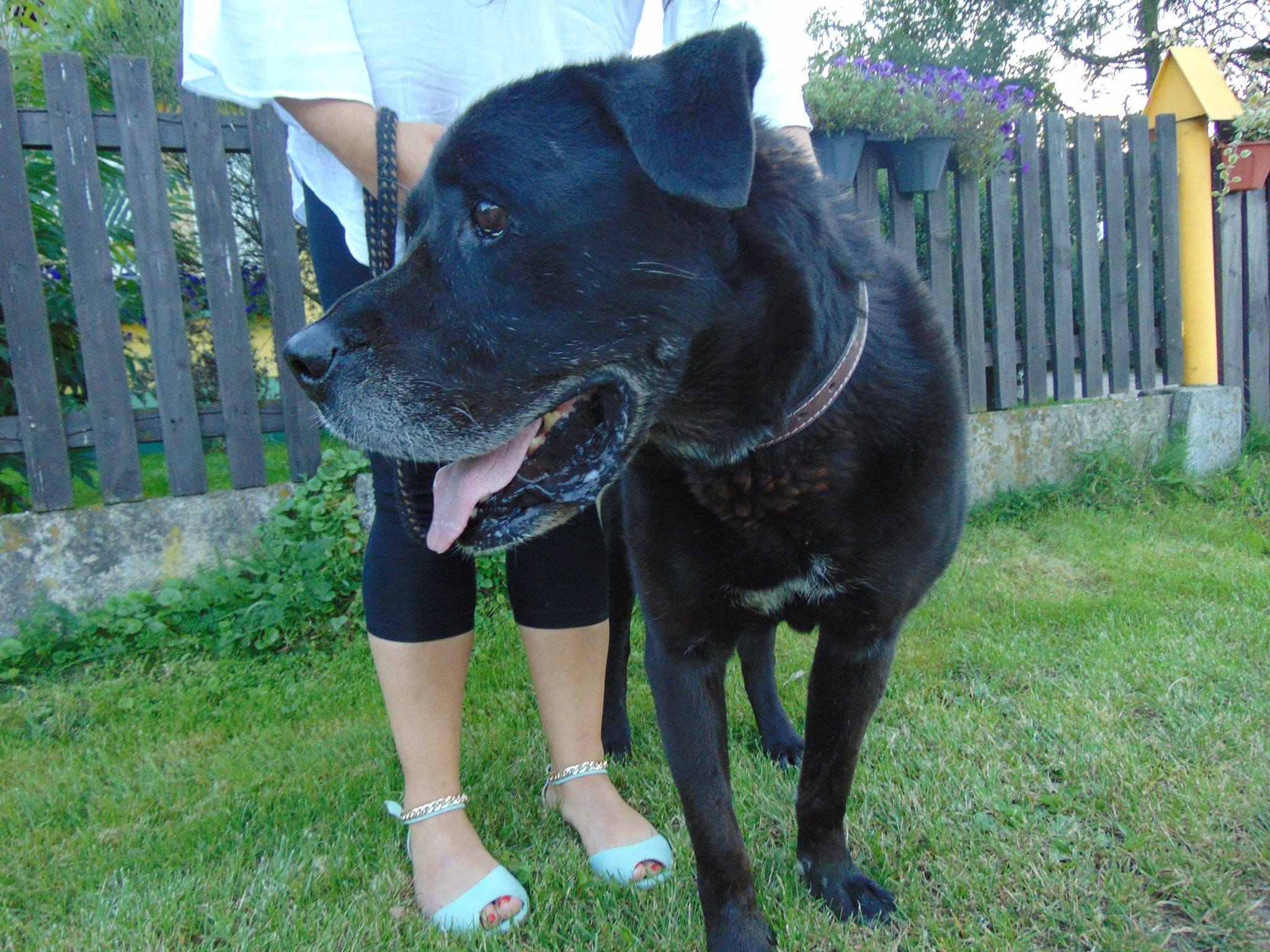 Elvis/Blacky wrócił do swojego domu!!!!