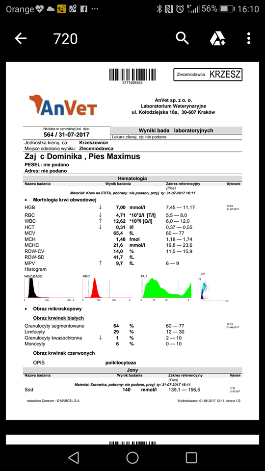 Wyniki Krwi Maximusa