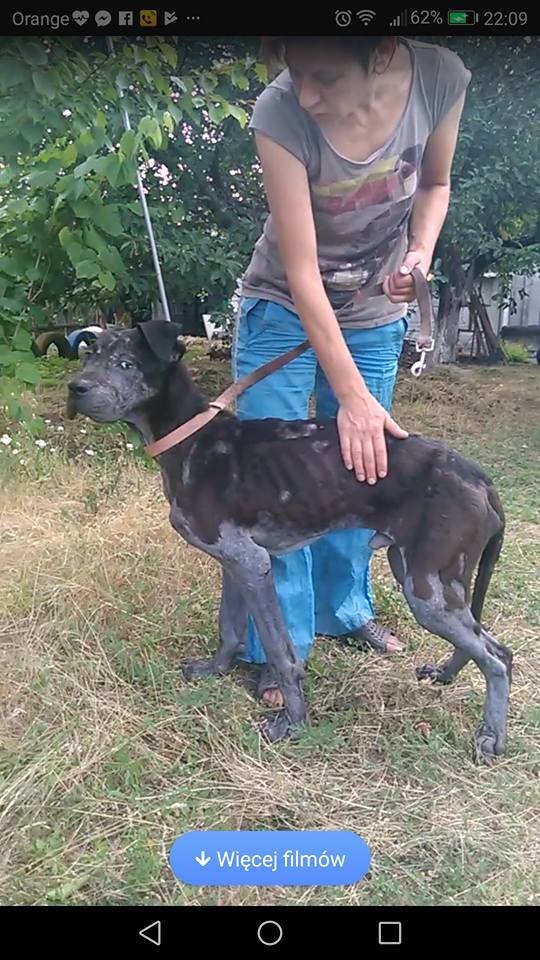 Nasza kruszynka z Ukrainy w ten weekend zawita na naszym pokładzie !