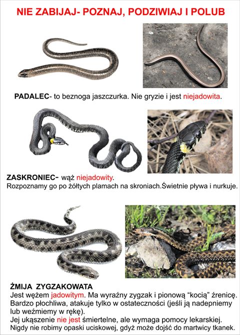 Uważajcie na pełzające :)