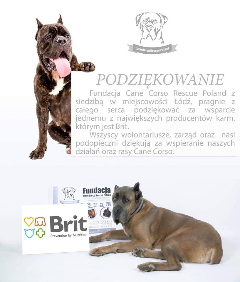 Podziękowania dla producenta karm BRIT
