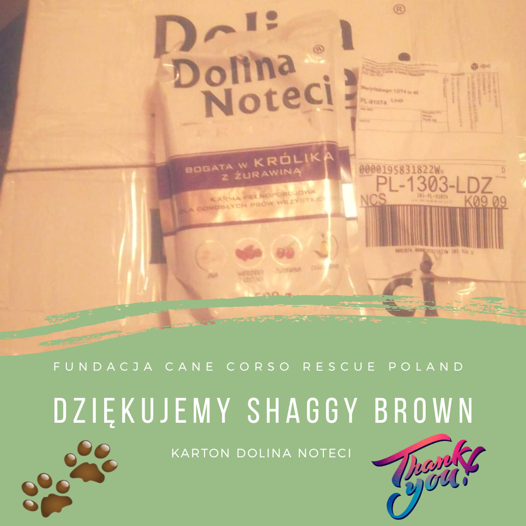 Dziękujemy!!!