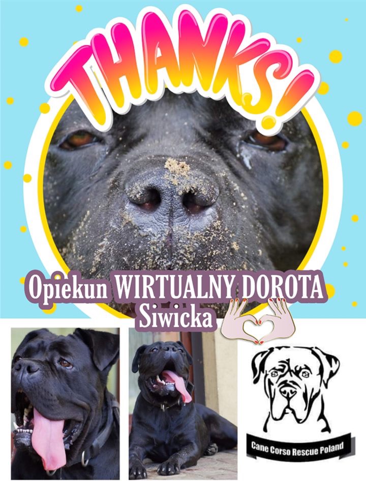 Dorotka dla Dorotki - Ciociu masz big heart ❤️
