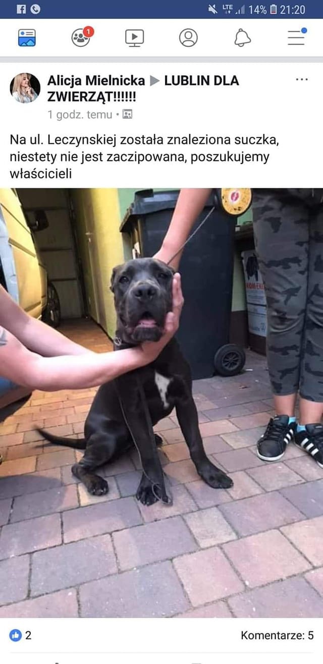 Czyja to zguba ? Lublin i okolice 