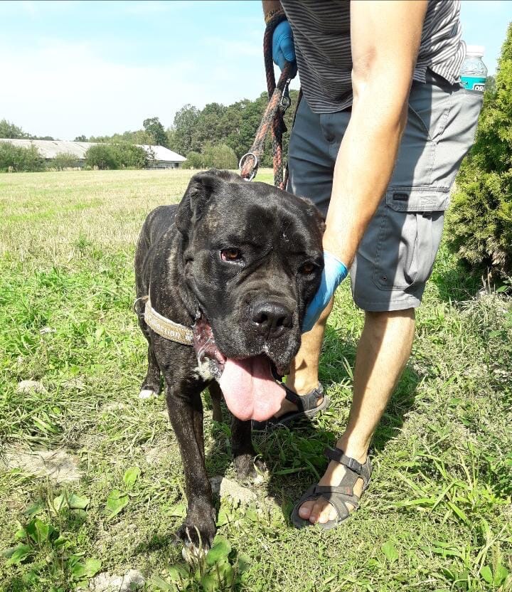 Jadymy po naszego chłopaka który łejtuje na nas w schronisku ?❤️? pomożecie ???