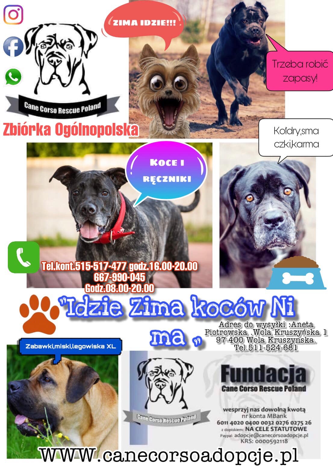 Wszystkie ręce na pokład i kolejna wielka zbiórka dla naszych podopiecznych ???☺️❄️