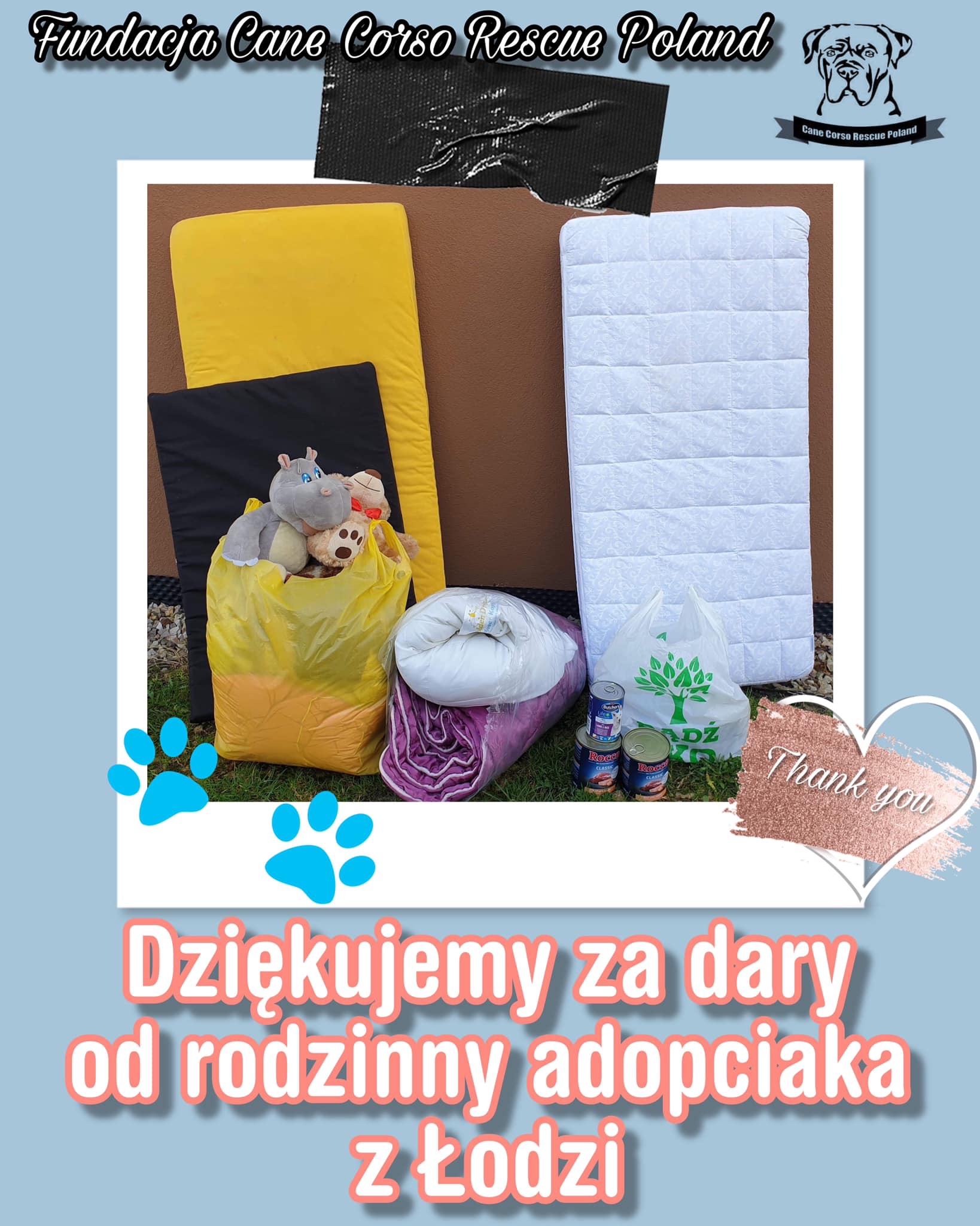 Dziękujemy Rodzinko Adopciaków ❤️