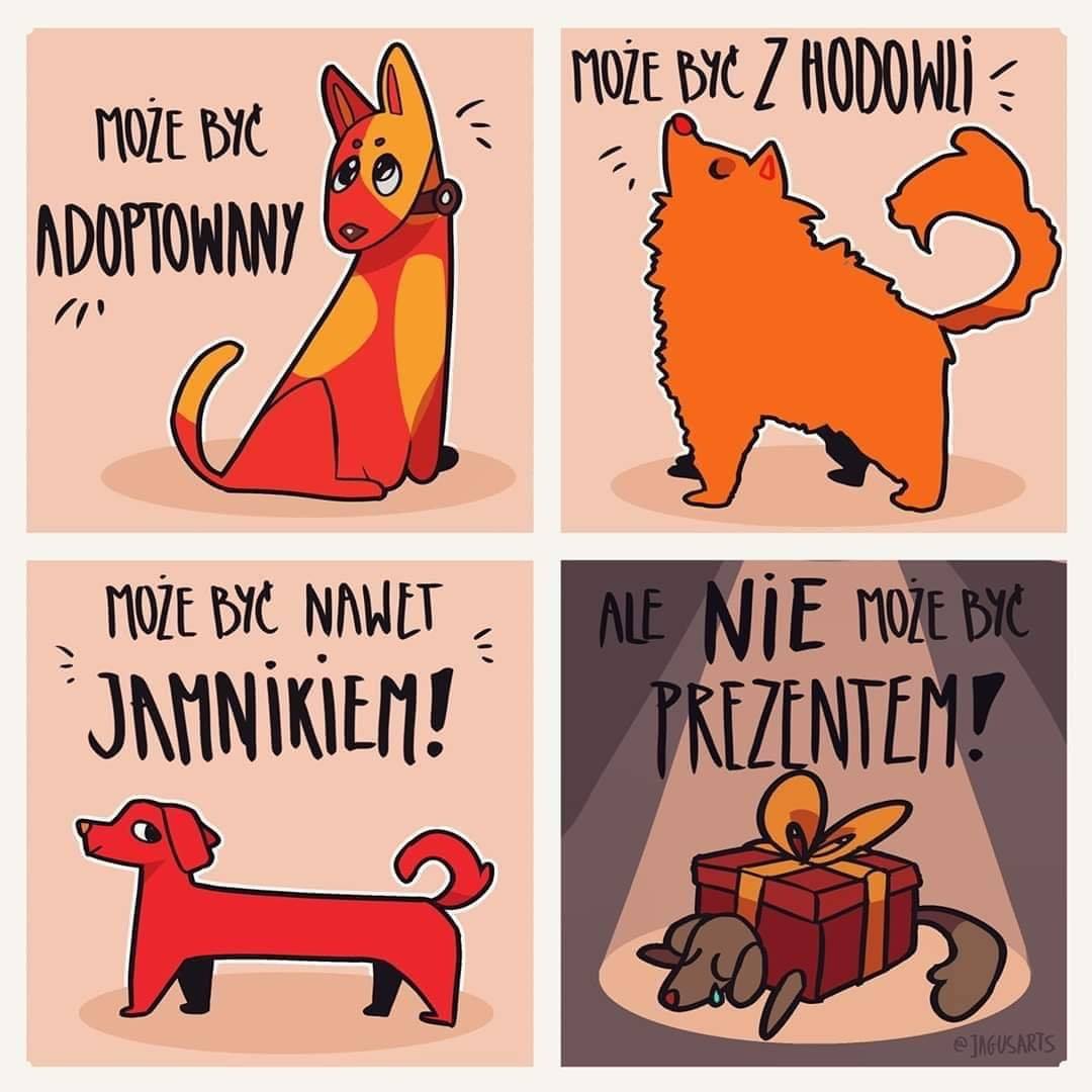 Chwila refleksji przed Świetami ?