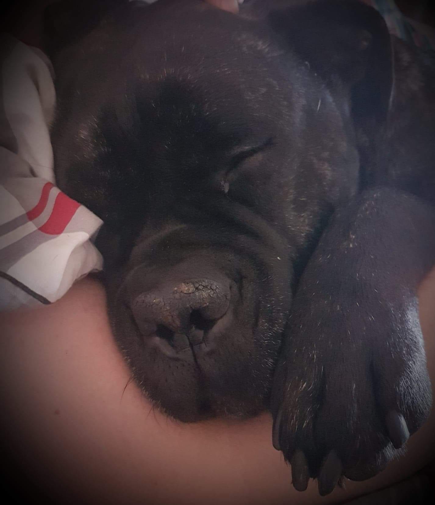 Możemy otwarcie powiedzieć że Frania pojechała ❤️?